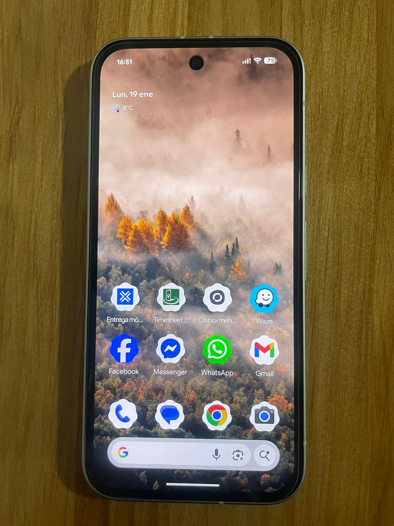 RESIGILAT: Telefon mobil Google Pixel 9a, 256GB, 8GB RAM, 5G, Iris
