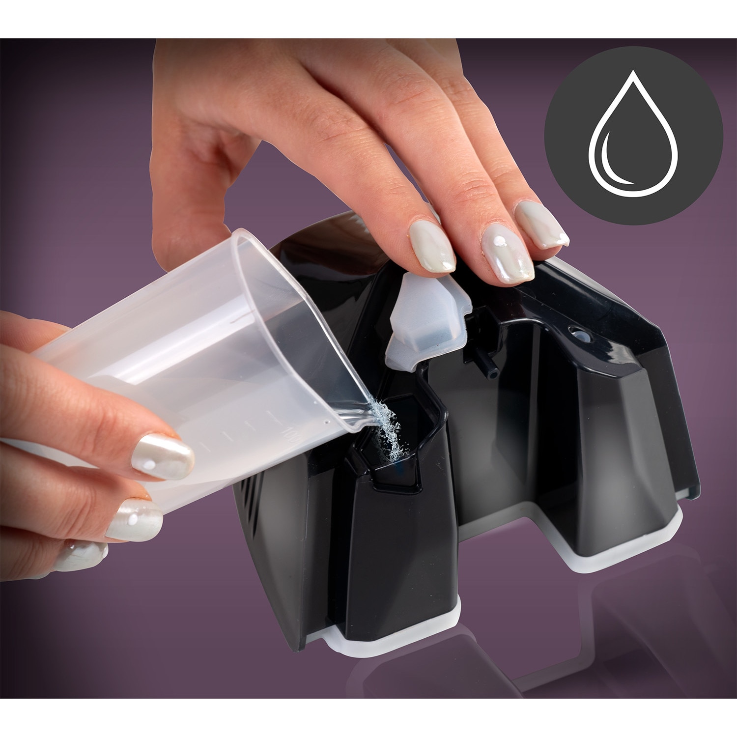 Steamer pentru imbracaminte Berdsen, 2000 W, 45g/min, rezervor 360 ml, set complet
