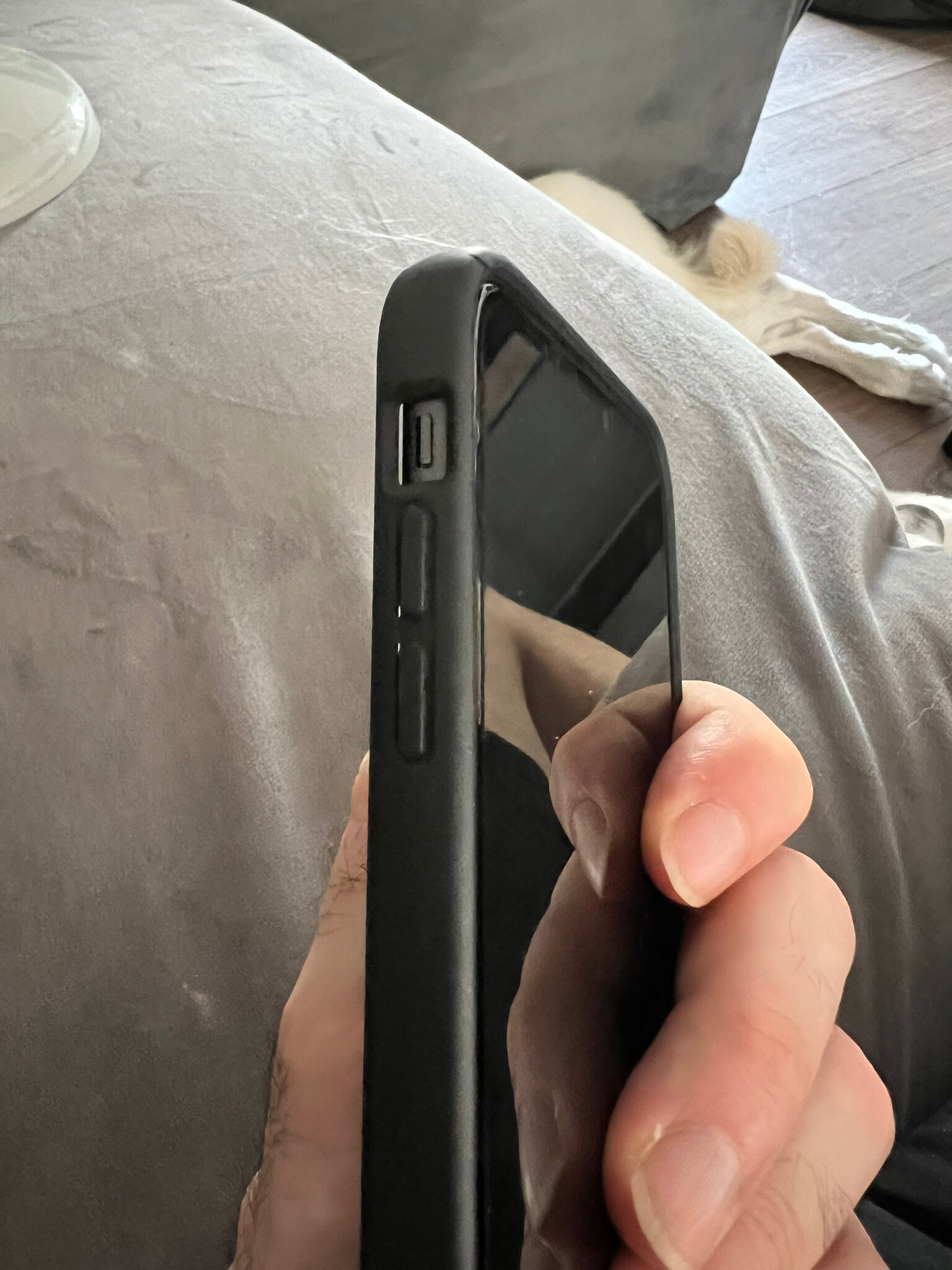Husa MagSafe pentru Apple iPhone 11, Full Cover, Frosted Acrylic Color Big Hole, Magnetica, Incarcare Wireless, Flippy, Negru
