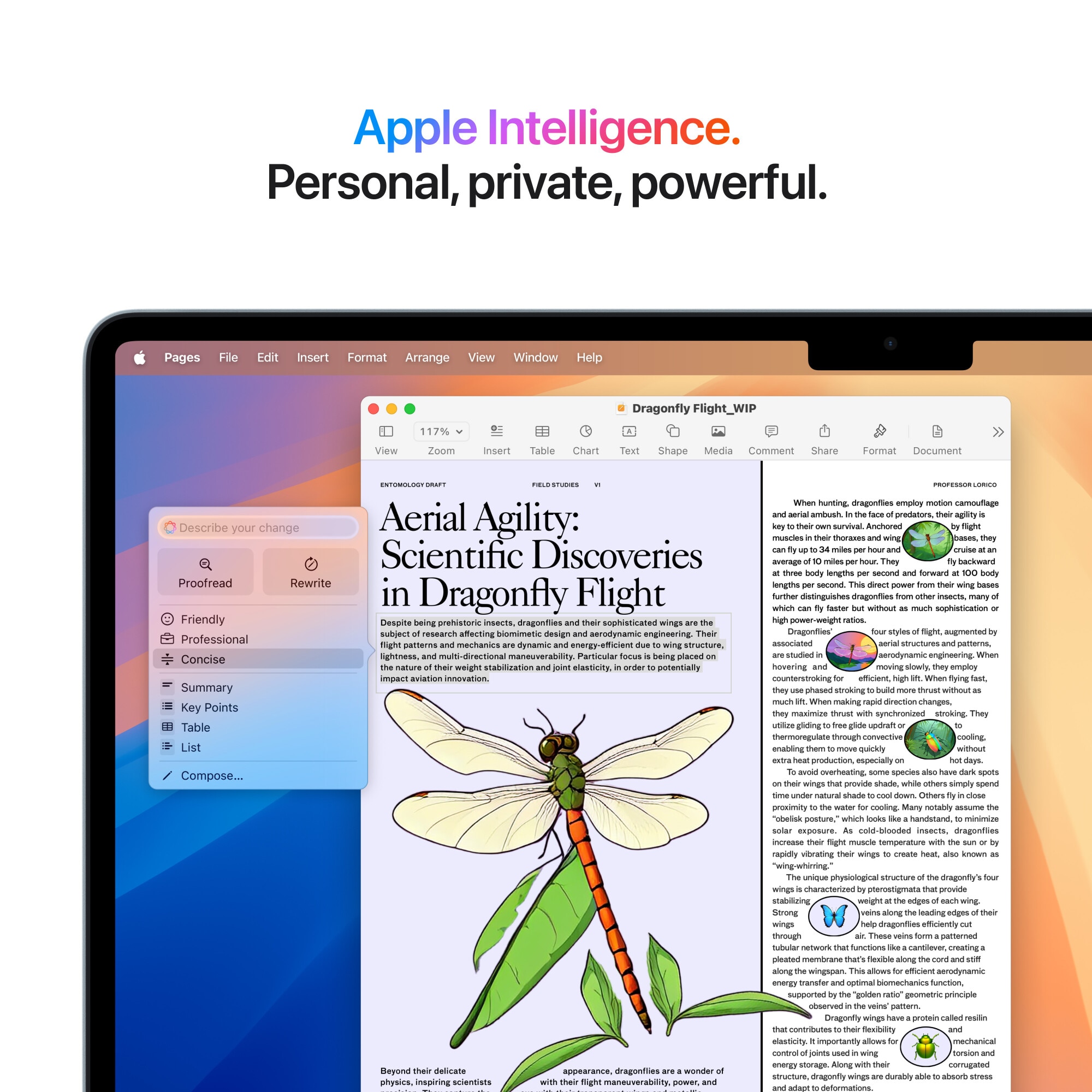 Laptop Apple MacBook Air 15", cu procesor Apple M4, 10 nuclee CPU si 10 nuclee GPU, 16GB RAM, 256GB, Sky Blue, Tastatura Internationala, Manual RO