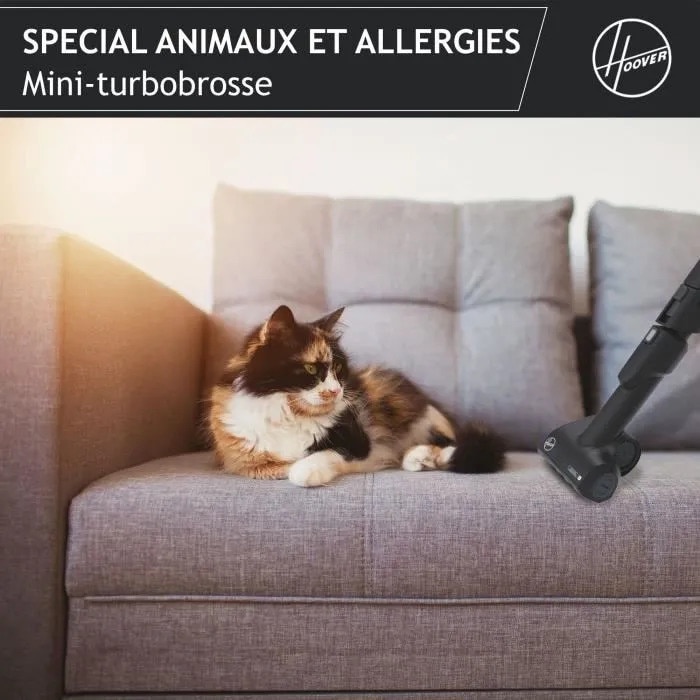 Aspirator cu sac Hoover HE530ALG, 850W, 3,5L, pentru alergii si par de animale