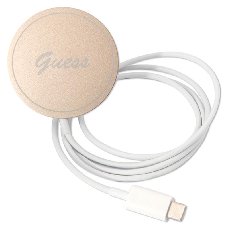 Set profesionist pentru Iphone 12 / 12 Pro, inclusiv husa, incarcator si magsafe