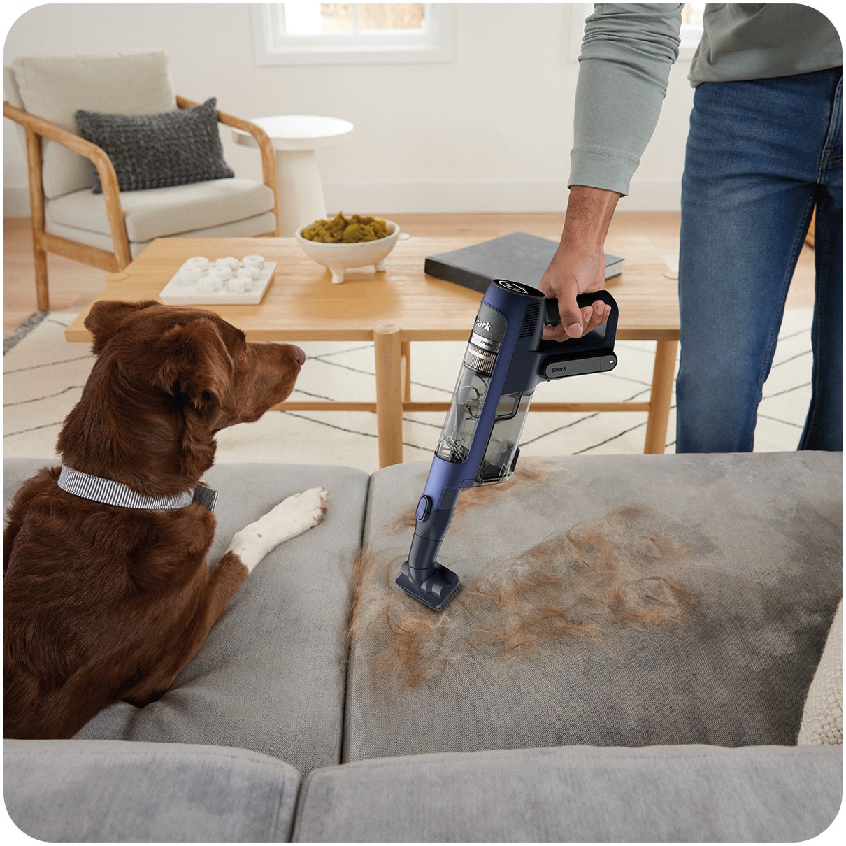 Aspirator vertical fara fir 3in1 Shark IA3241EUT, DetectClean & Empty Pet Flexology, 350W, 18V, autonomie 60 min, statie golire 3in1 Anti-Odour, 0.5L, Dirt/Floor/Edge Detect, DirectionDetect, CleanSense IQ, Anti-Hair Wrap, filtru HEPA, albastru, Shaek