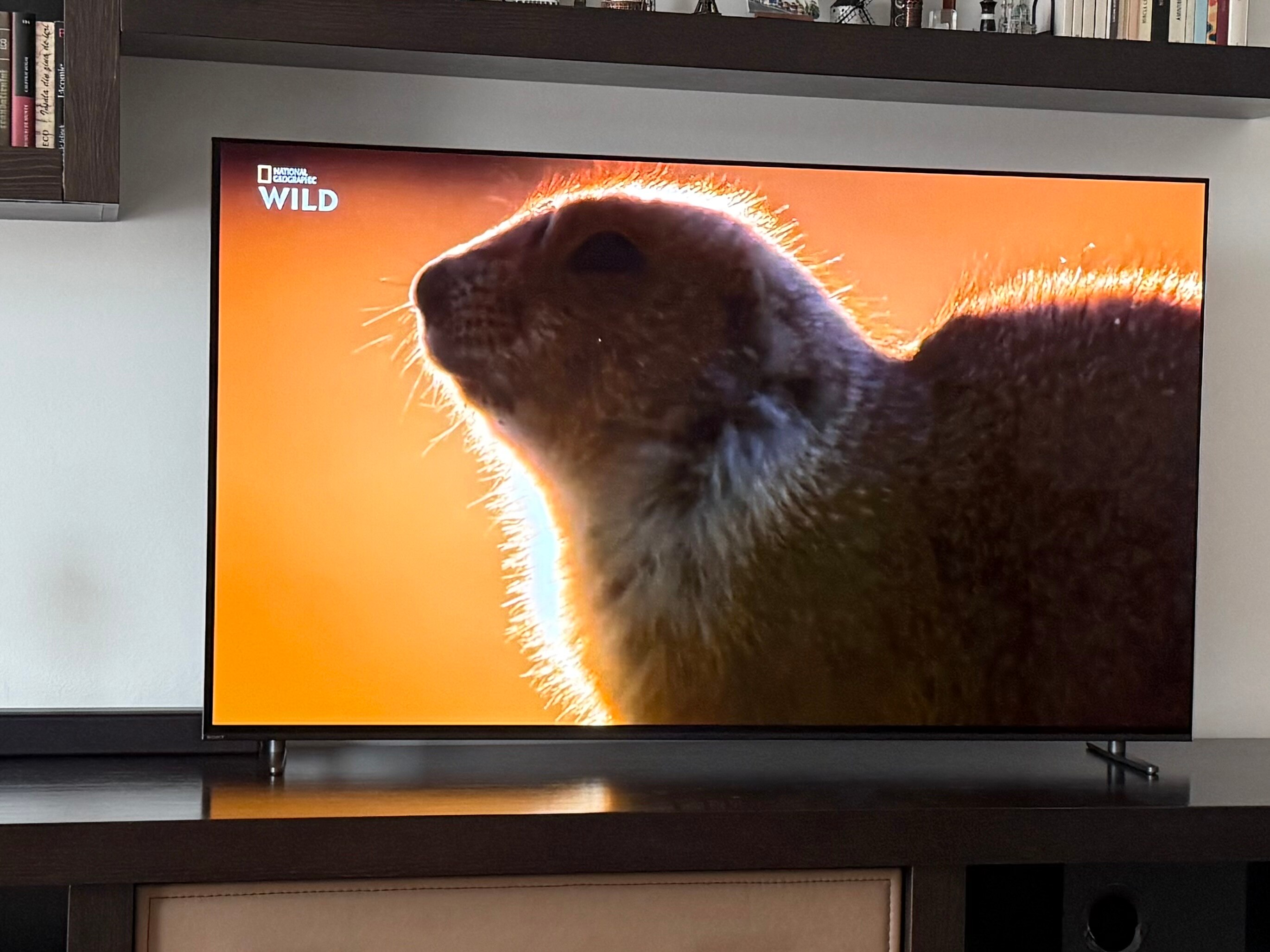 RESIGILAT: Televizor Sony BRAVIA 8 OLED 65XR8A, 164 cm, Smart Google TV, 4K Ultra HD, 100 Hz, Clasa E