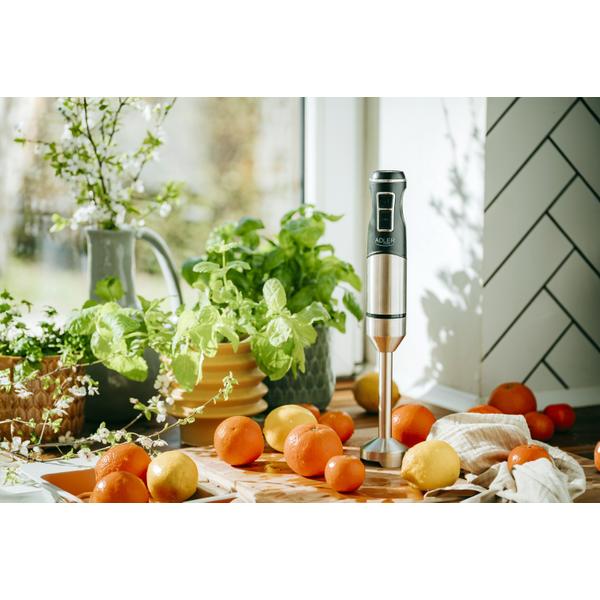 Blender vertical de mana Adler AD 4628, 1900 W, Functie Turbo, 16.000 rpm (Negru/Inox)