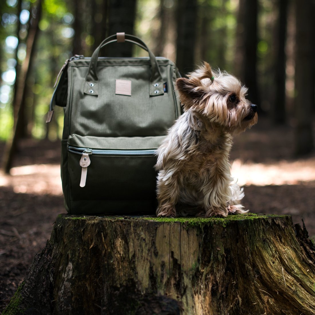 Rucsac dama, Himawari, Nailon, Verde masliniu, 28x15x43 cm