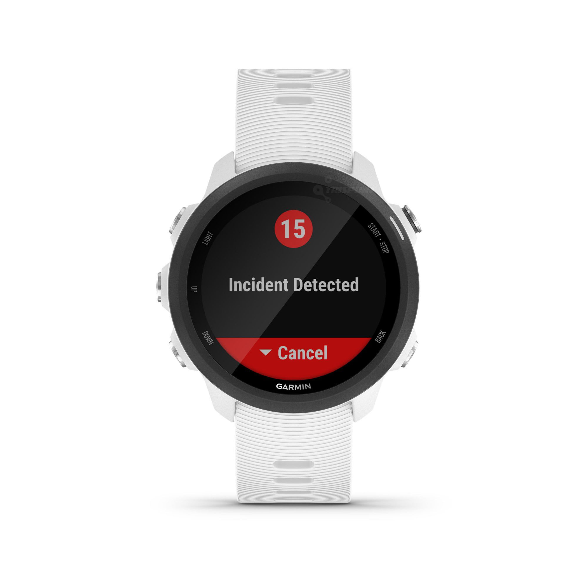 Ceas Smartwatch Forerunner 245 Music, 42 mm, GPS, White