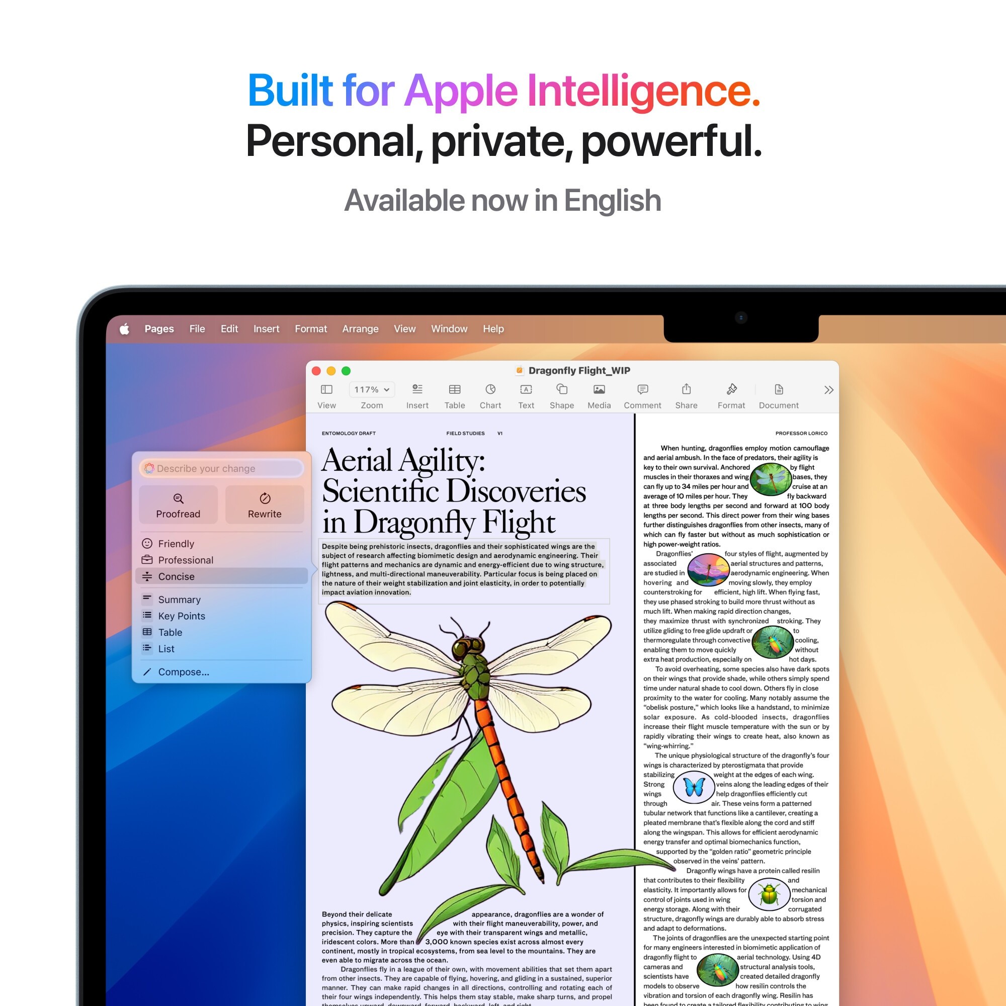 Laptop Apple MacBook Air 13", cu procesor Apple M4, 10 nuclee CPU si 8 nuclee GPU, 16GB RAM, 256GB, Starlight, Tastatura Internationala, Manual RO