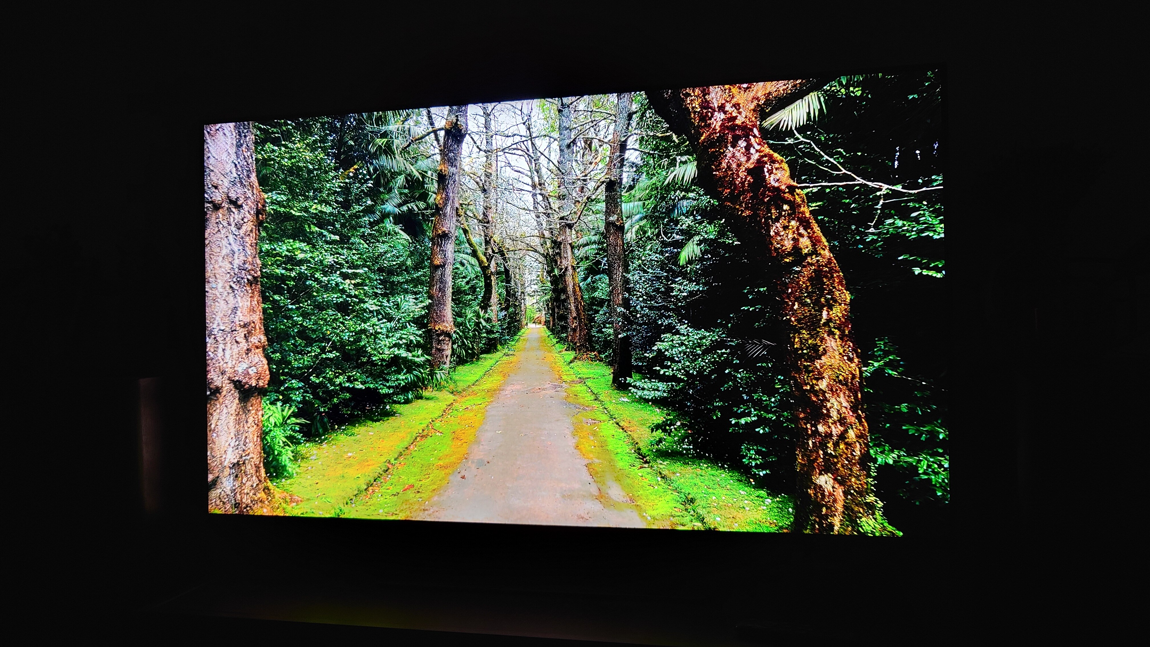 Televizor SAMSUNG MiniLED Neo QLED 43QN90F, 108 cm, Smart, 4K Ultra HD, 100 Hz, Clasa F (Model 2025)