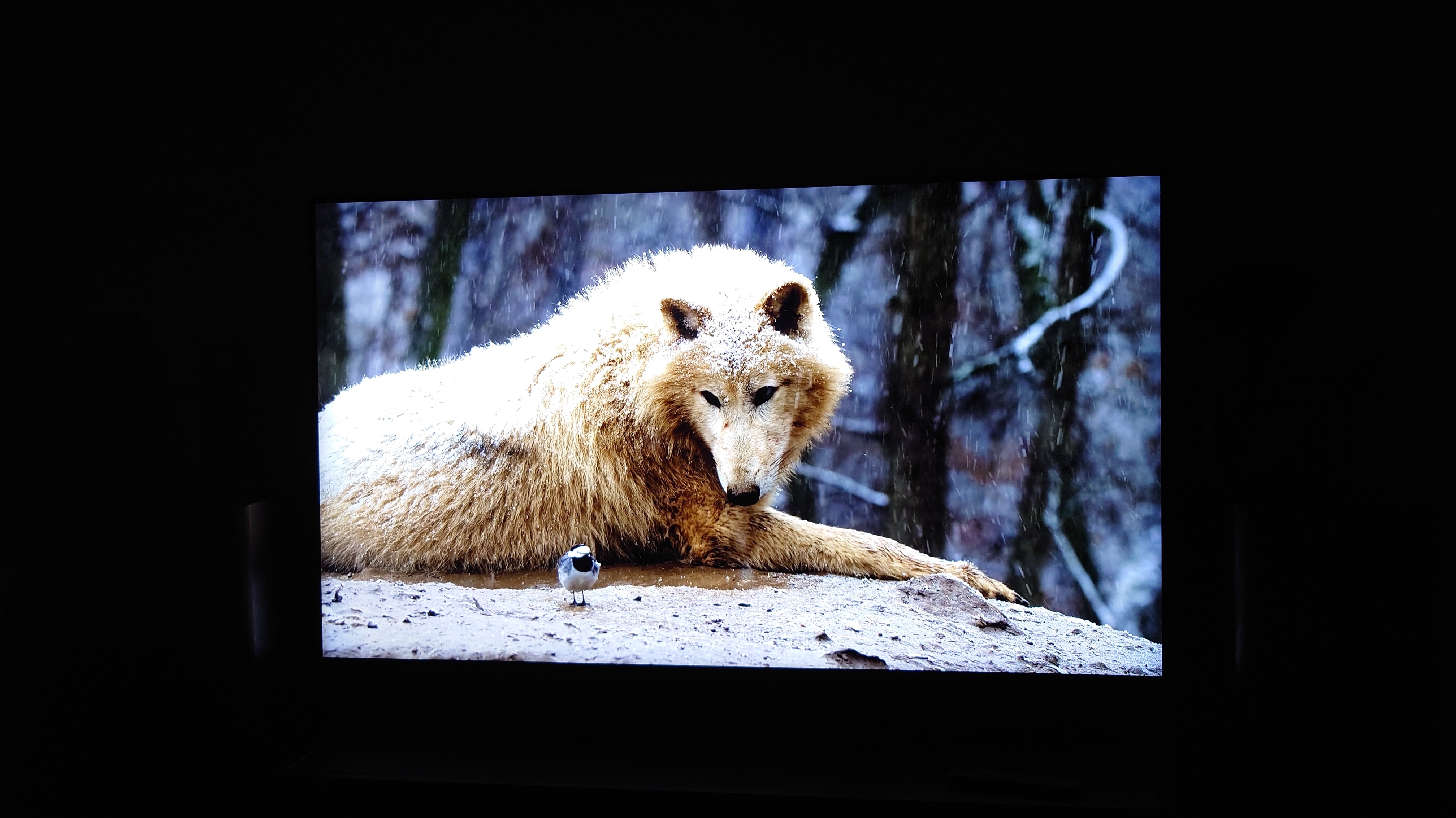 Televizor SAMSUNG MiniLED Neo QLED 43QN90F, 108 cm, Smart, 4K Ultra HD, 100 Hz, Clasa F (Model 2025)
