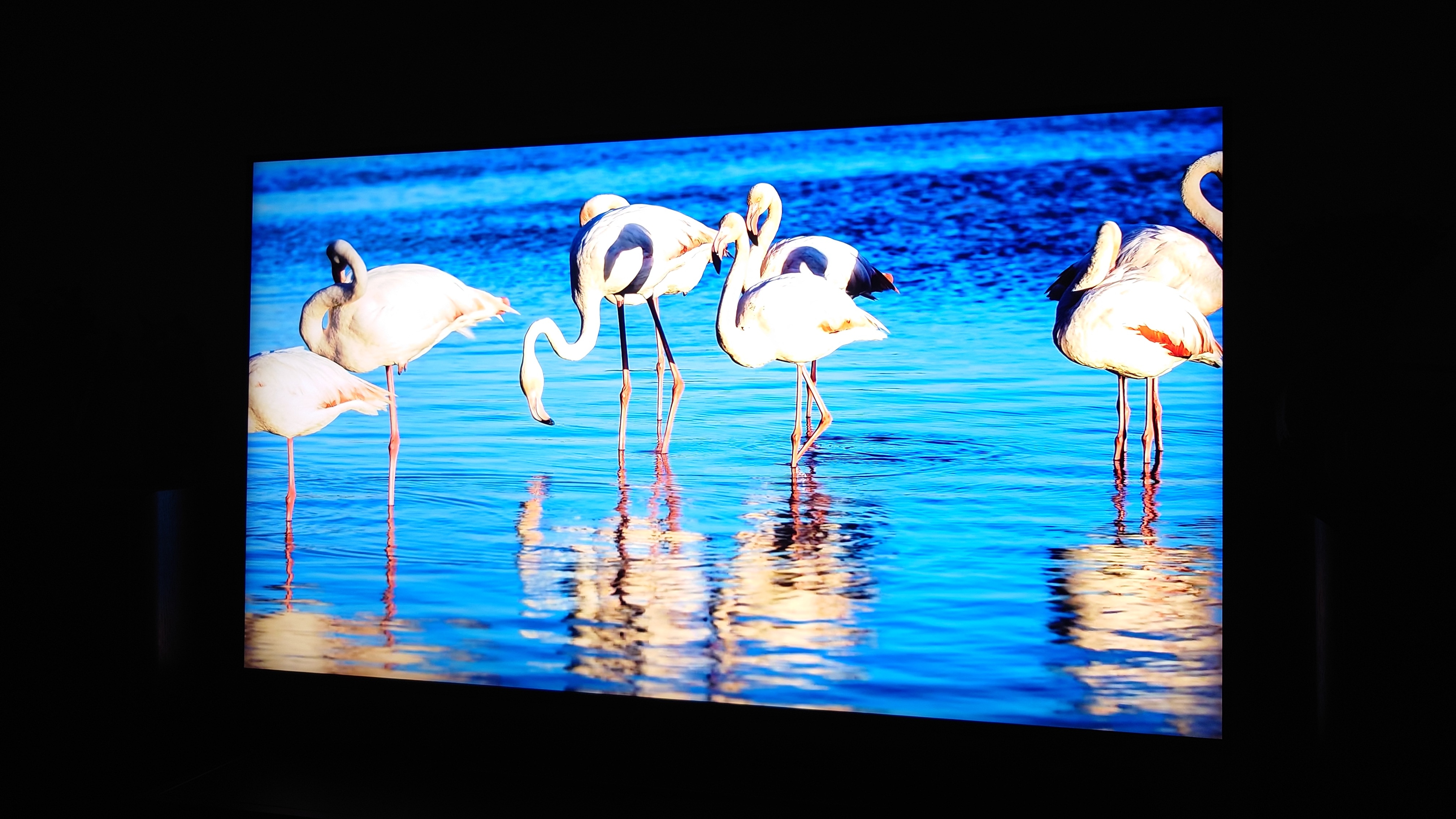 Televizor SAMSUNG MiniLED Neo QLED 43QN90F, 108 cm, Smart, 4K Ultra HD, 100 Hz, Clasa F (Model 2025)