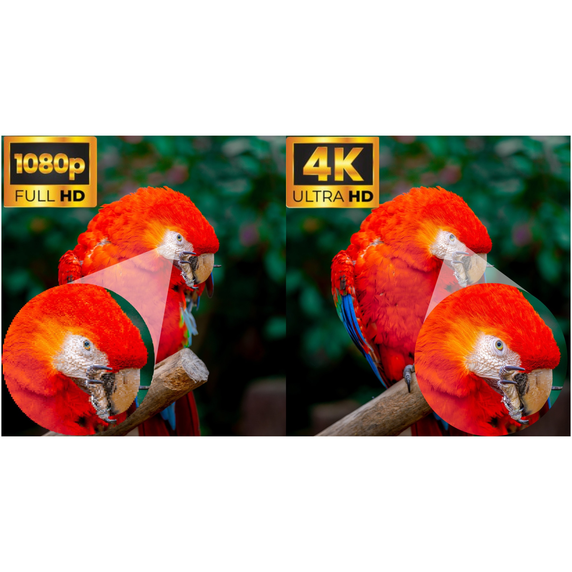 Televizor NEI LED 55NE6901, 139cm, Smart, 4K Ultra HD, Clasa F