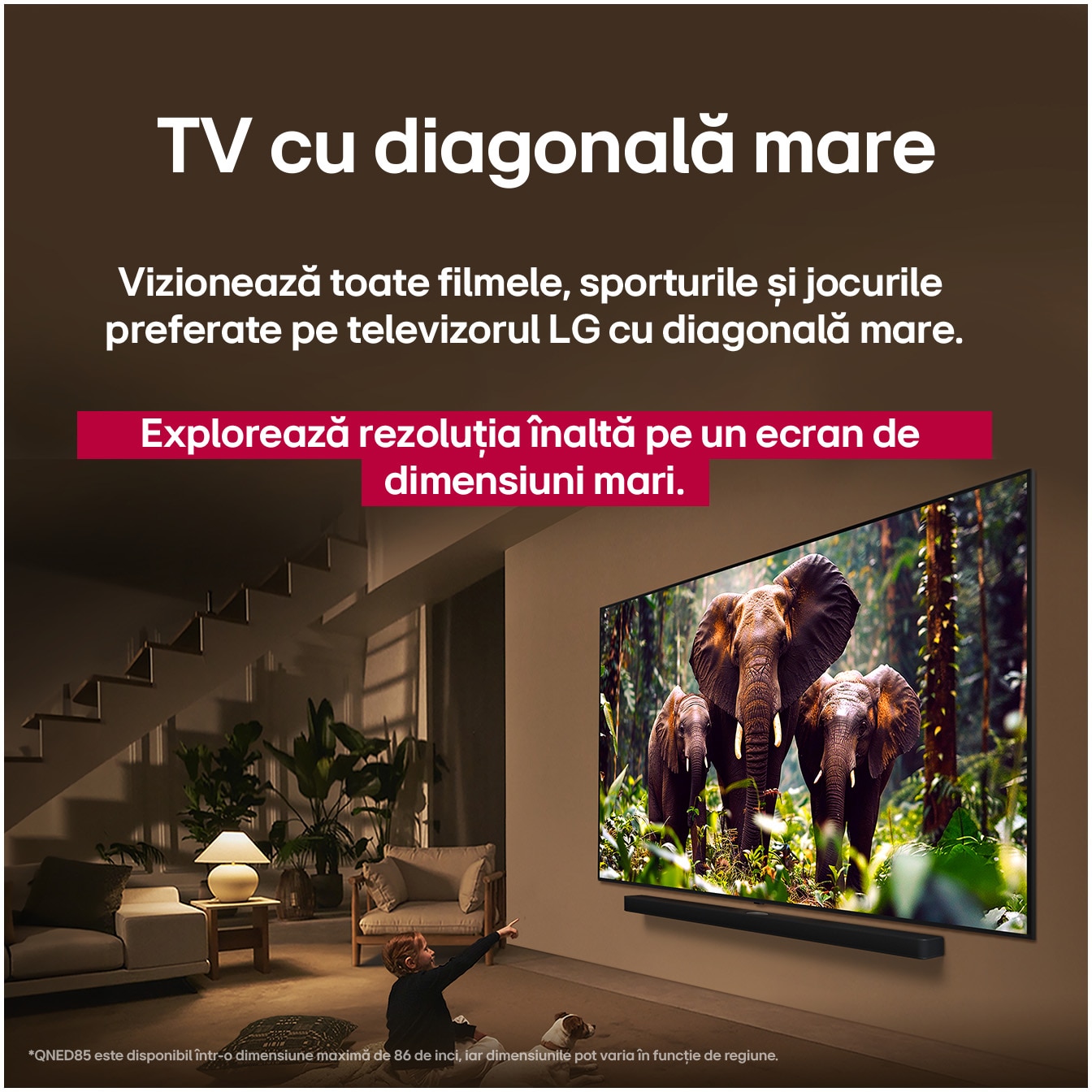 Televizor LG QNED evo 65QNED85A3C, 164 cm, Smart, 4K Ultra HD, 100 Hz, Clasa E (Model 2025)