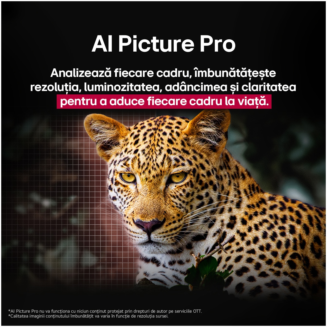 Televizor LG OLED evo 55G51LW, 139 cm, Smart, 4K Ultra HD, 100 Hz, Clasa E (Model 2025)
