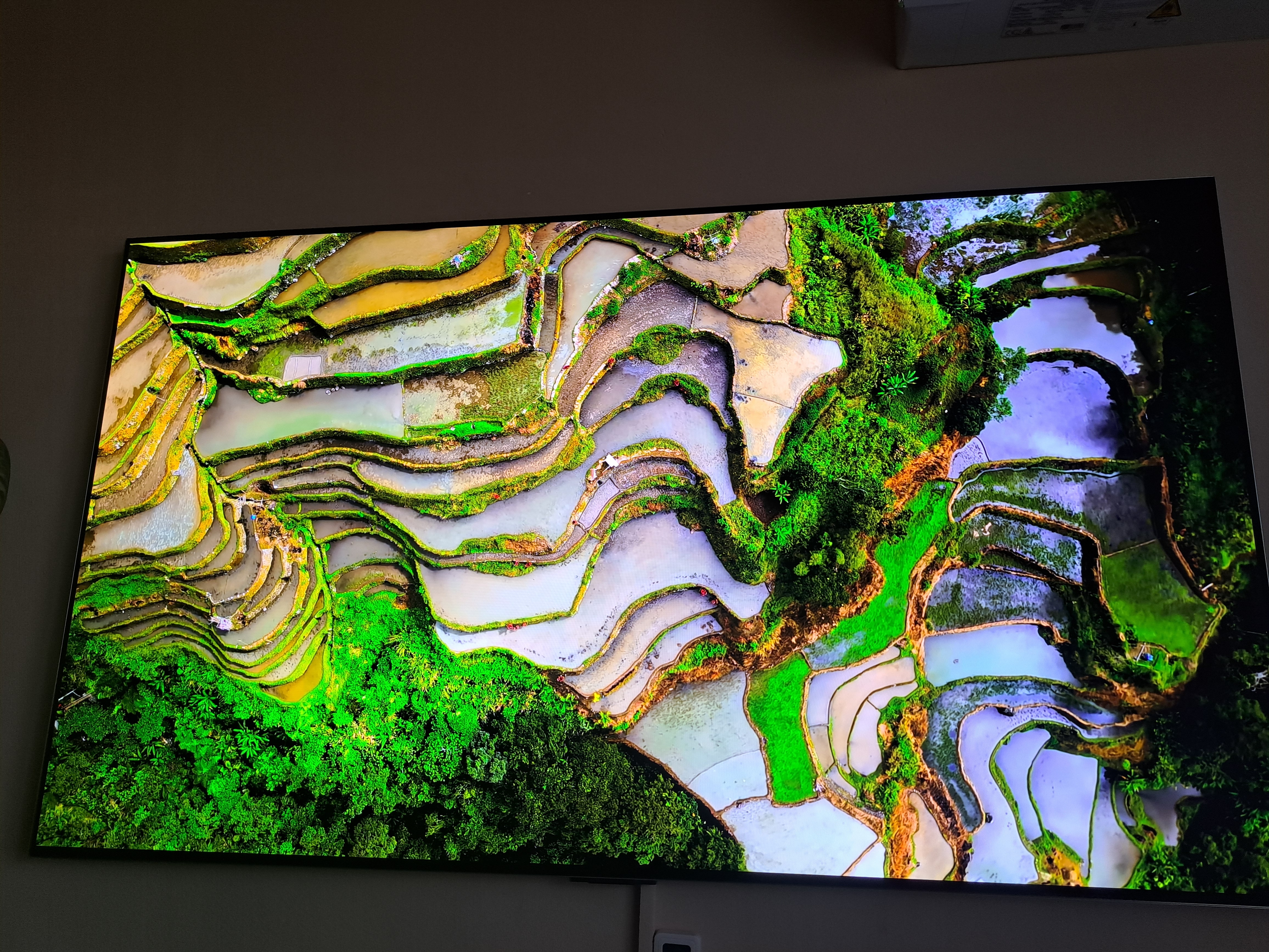 Televizor LG OLED evo 55G51LW, 139 cm, Smart, 4K Ultra HD, 100 Hz, Clasa E (Model 2025)