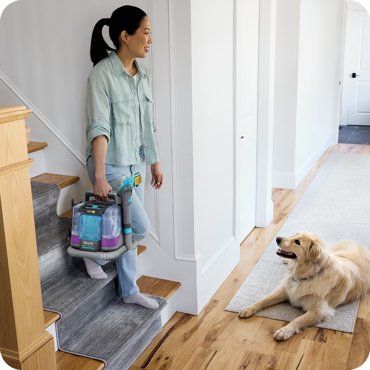 Aspirator cu spalare Shark StainStriker HairPro Pet PX250EUT, 450W, rezervor apa/detergent 1.2L, rezervor apa murdara 0.72L, 5 accesorii pete, 2 HairExtractor anti-incalcare par, solutii CarpetXpert & OXY Multiplier, Self-Clean, raza 5.7m, roz