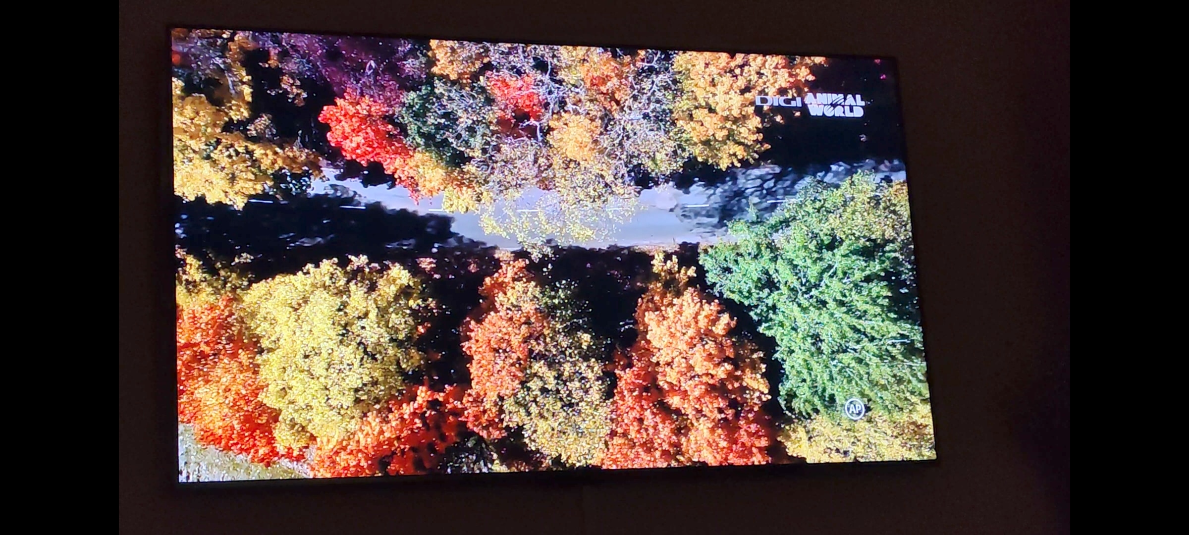 Televizor TCL QD-MiniLed 115C7K, 291 cm, Smart Google TV, 4K Ultra HD, 100Hz, Clasa E (Model 2025)