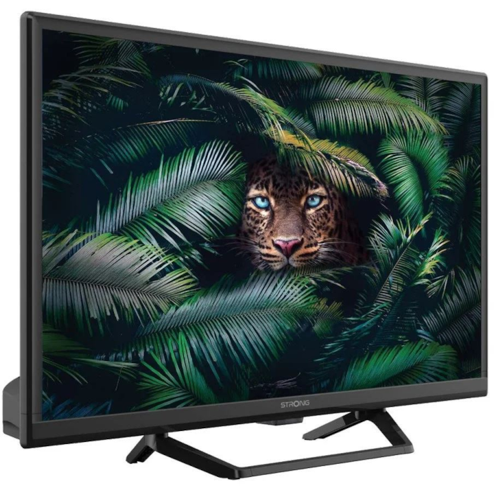 Televizor LED puternic SRT 24HE4023C 24" HD Ready (SRT24HE4023C)