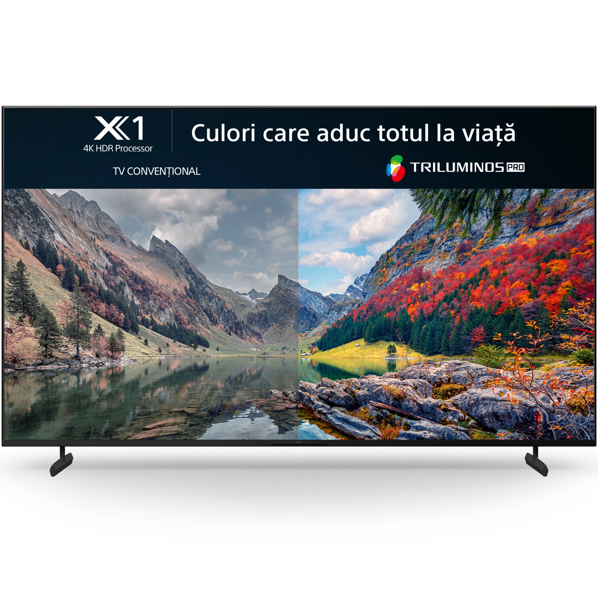 Televizor Sony BRAVIA LED 85X80L, 215 cm, Smart Google TV, 4K Ultra HD, Clasa F