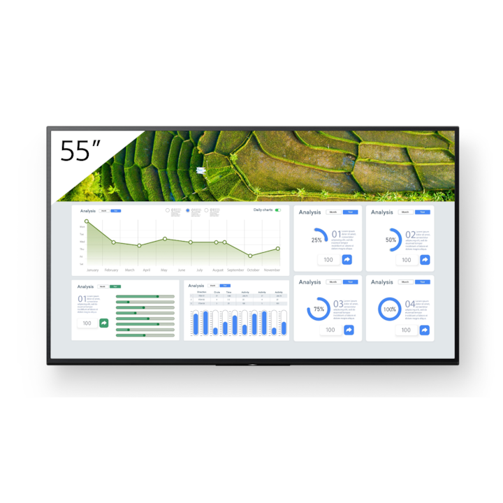Televizor inteligent, Sony, FW-55BZ30L, 55", 4K