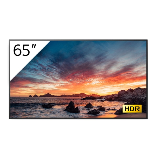 Display profesional Sony Bravia FWD-65X81H/T1, 65 inch, 4K Ultra HD, HDR, cu tuner TV