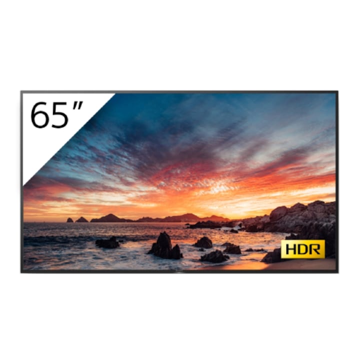 Display profesional Sony Bravia FWD-65X81H/T1, 65 inch, 4K Ultra HD, HDR, cu tuner TV