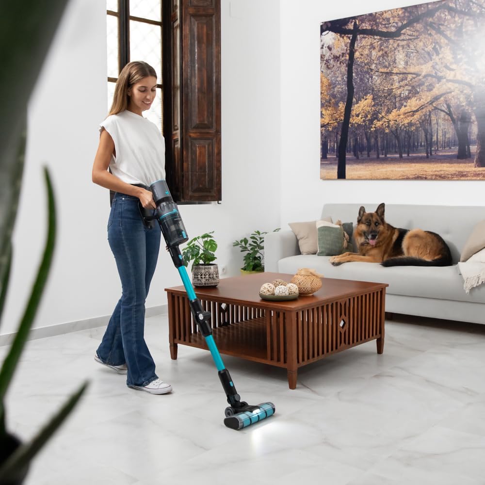 Aspirator vertical 400W, Cecotec Rockstar 2500 ThunderFlex, 30kPa, 65 minute autonomie, perie jalisco&accesoriu animale